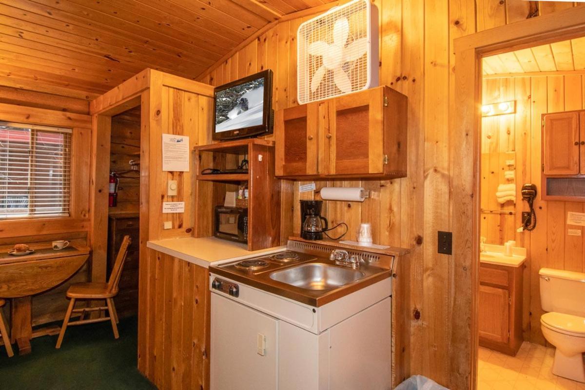 Teton Valley Cabins ドリッグス エクステリア 写真