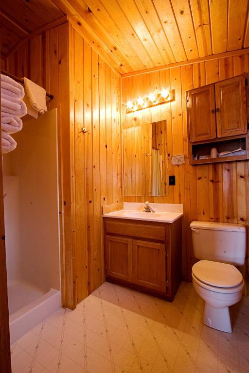 Teton Valley Cabins ドリッグス 部屋 写真