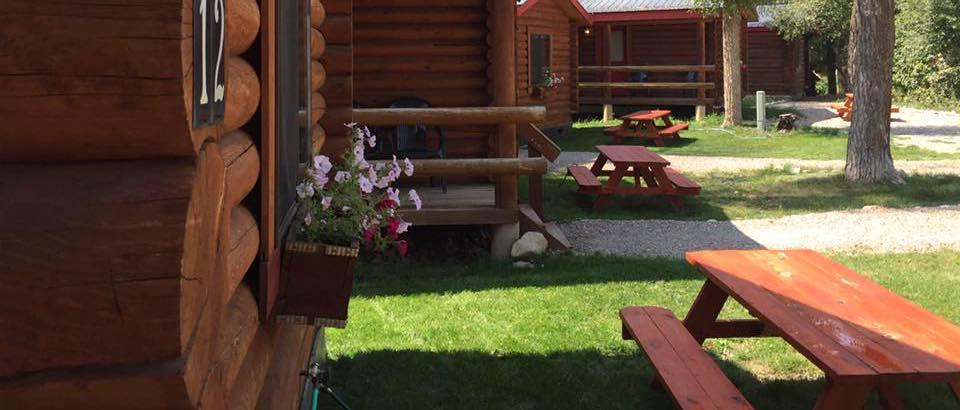 Teton Valley Cabins ドリッグス エクステリア 写真