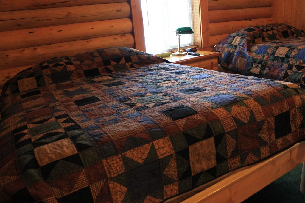 Teton Valley Cabins ドリッグス エクステリア 写真