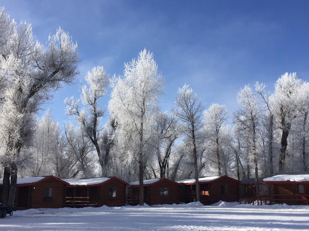 Teton Valley Cabins ドリッグス エクステリア 写真