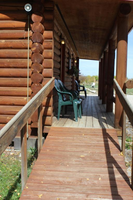 Teton Valley Cabins ドリッグス エクステリア 写真