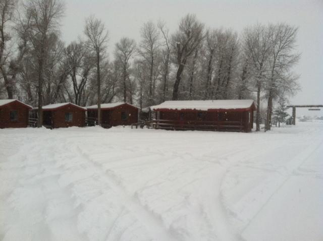 Teton Valley Cabins ドリッグス エクステリア 写真