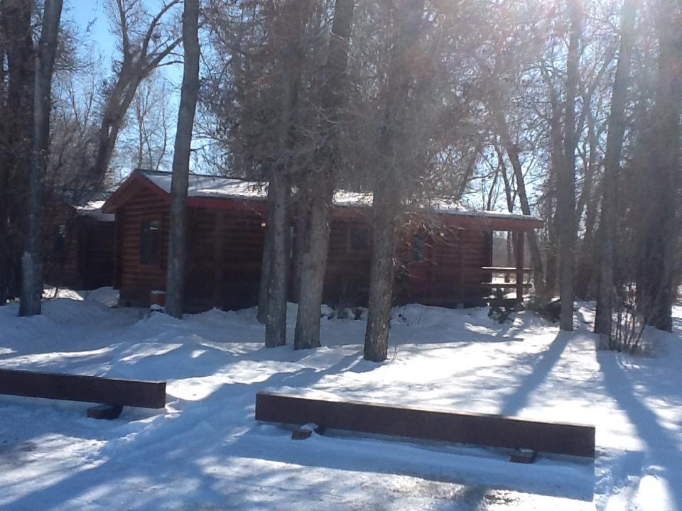 Teton Valley Cabins ドリッグス エクステリア 写真