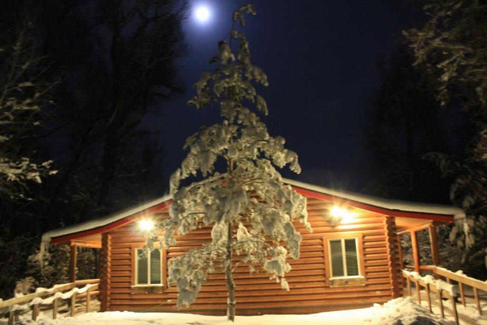 Teton Valley Cabins ドリッグス エクステリア 写真